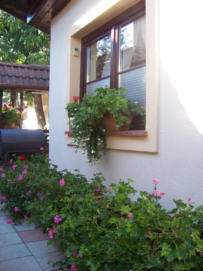Pensiunea Casa Alba Ghimbav Exterior photo